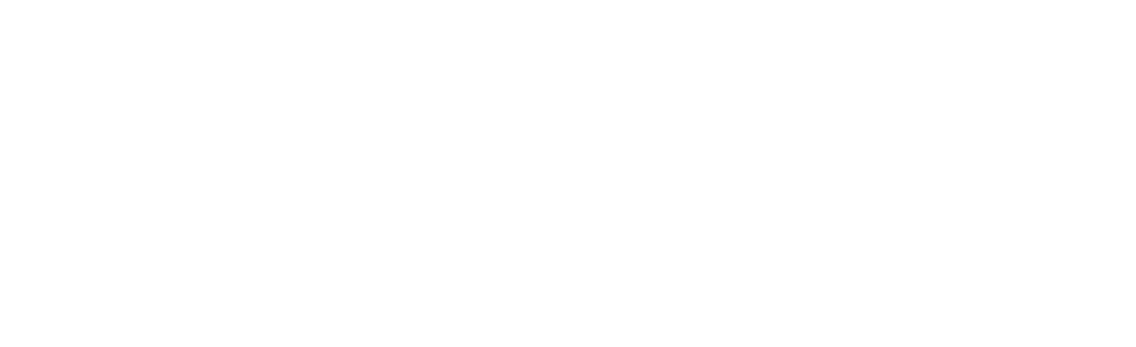 DesktopShipper Logo